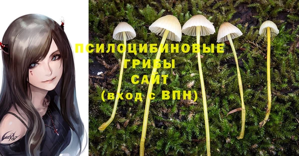 круглые Алзамай